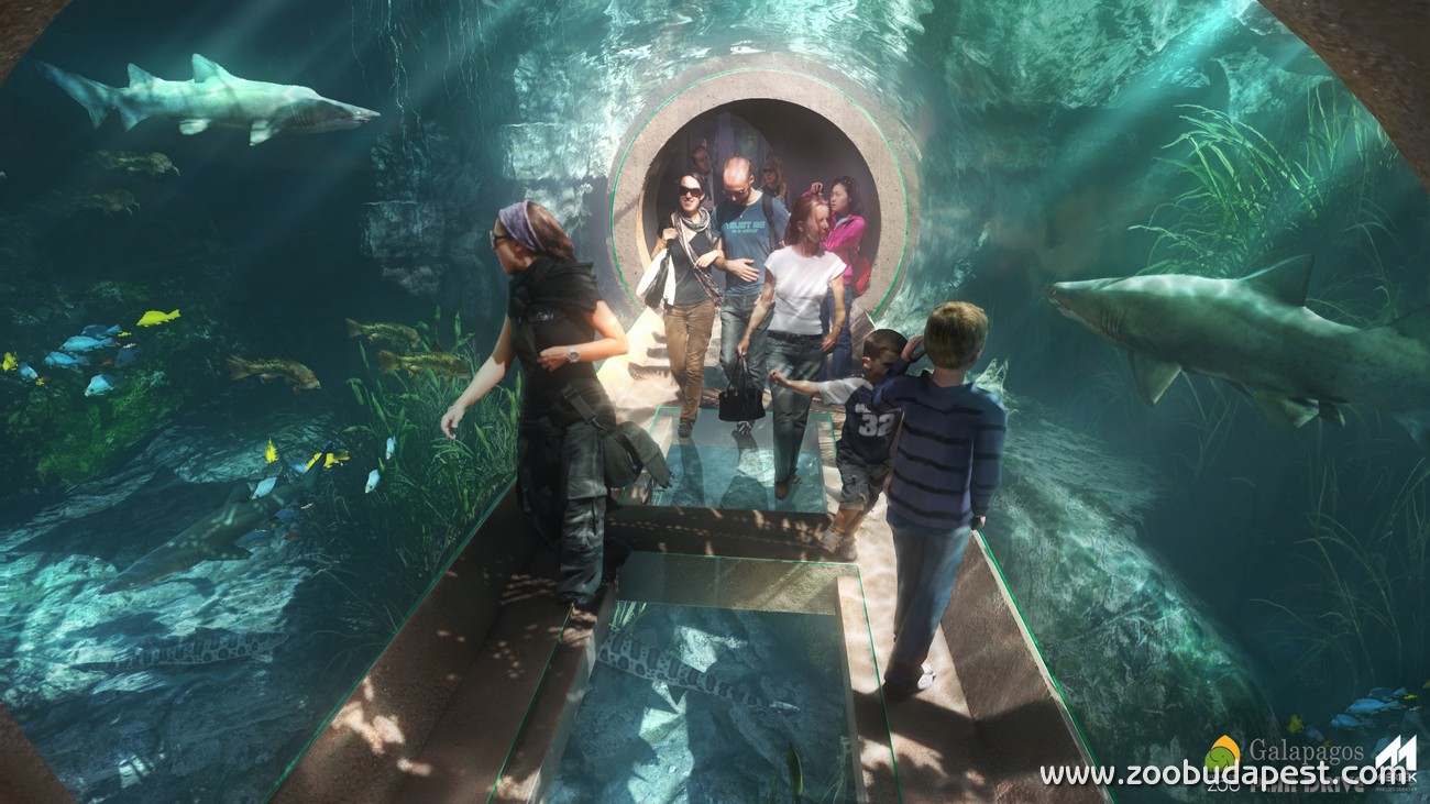Részlet a tervezett Pannon-tenger akváriumból