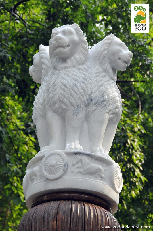 Asóka-oszlopfő az India-ház előtt