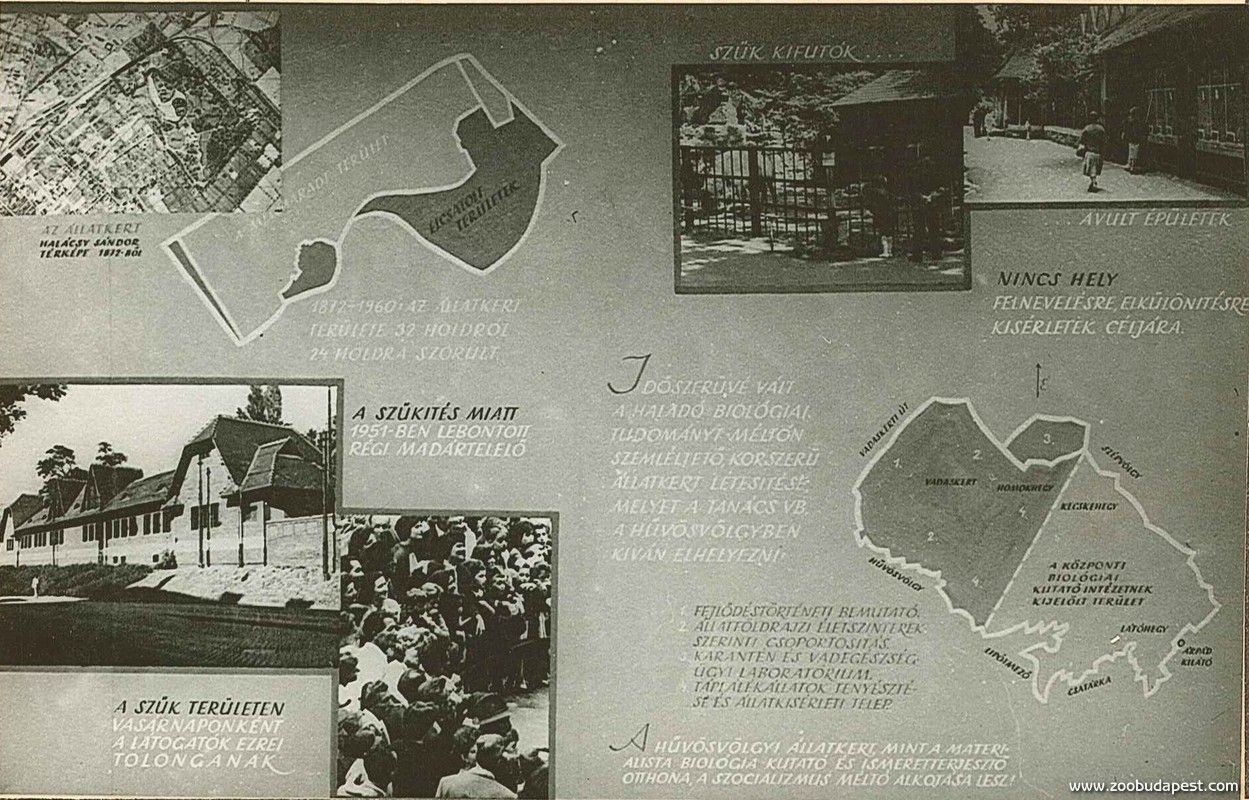 A Hűvösvölgyi Állatkert terveit ismertető tabló az 1960-as évekből