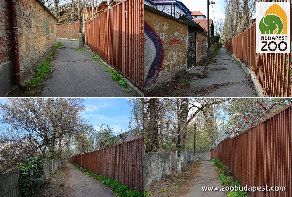 Ilyen állapotban volt a Varannó utca sikátoros része, amikor az Állatkert használatba vételre megkapta a területét