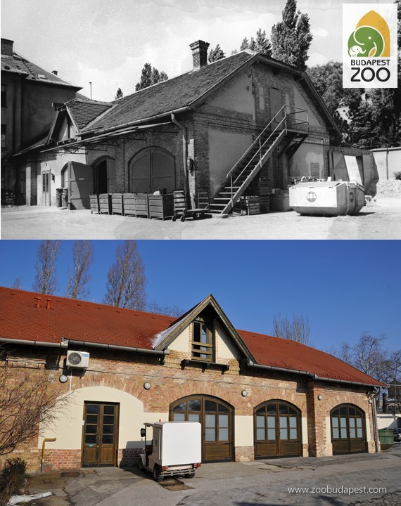 A régi kocsiszínt az 1980-as években daráló helyiségként működött, illetve itt volt a takarmányozási iroda is (felső kép); 2009-ben ebben az épületben kapott helyet az állatorvosi állomás (lent)