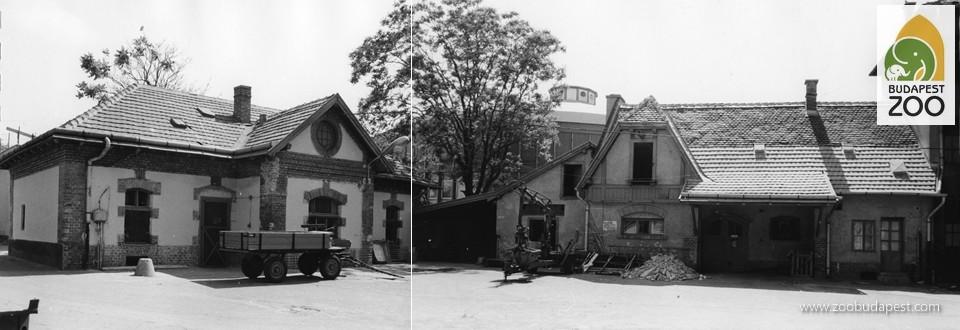 Ezen az 1980-as években készült felvételen baloldalt a takarmánykonyha épülete, tőle jobbra pedig a takarmánytároló látszik