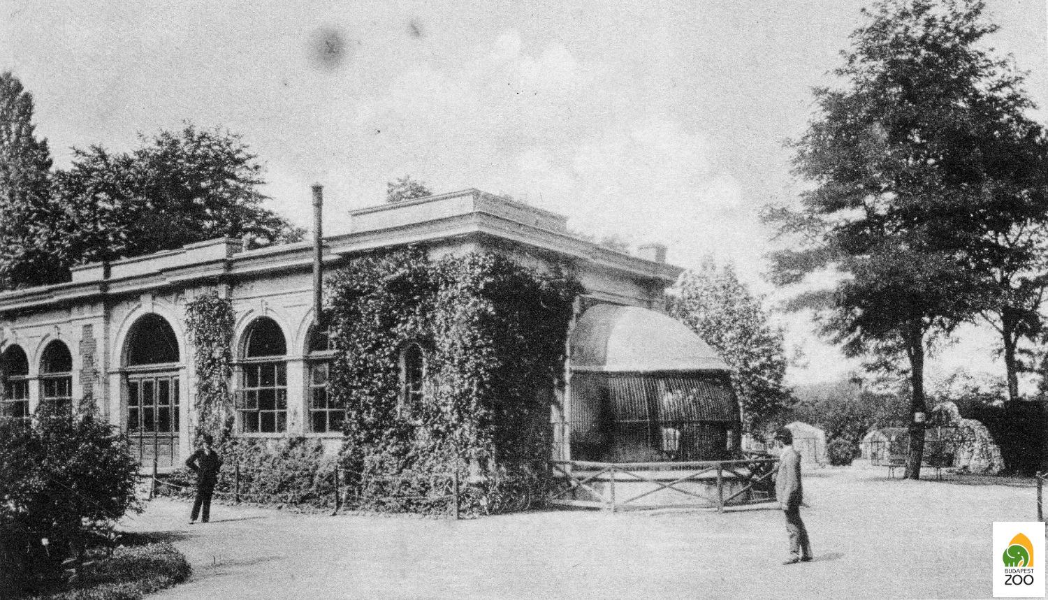 01 - Az Állatkert első, 1876-ban épült oroszlánháza, amelyet a neves építész, Hauszmann Alajos tervezett. A felvételt Divald Károly készítette 1894-ben