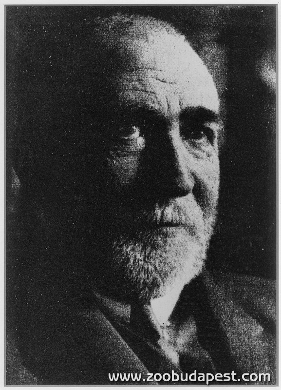 Hilbert Rezső aligazgató 1919-től tíz éven át irányította az Állatkertet