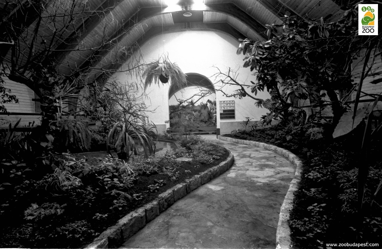 A korabeli Madárház 1985-ben átadott trópusi csarnoka 