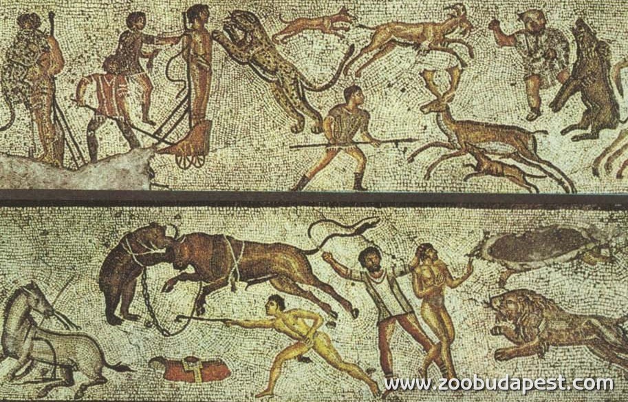 Állatviadal ábrázolása római mozaikon 