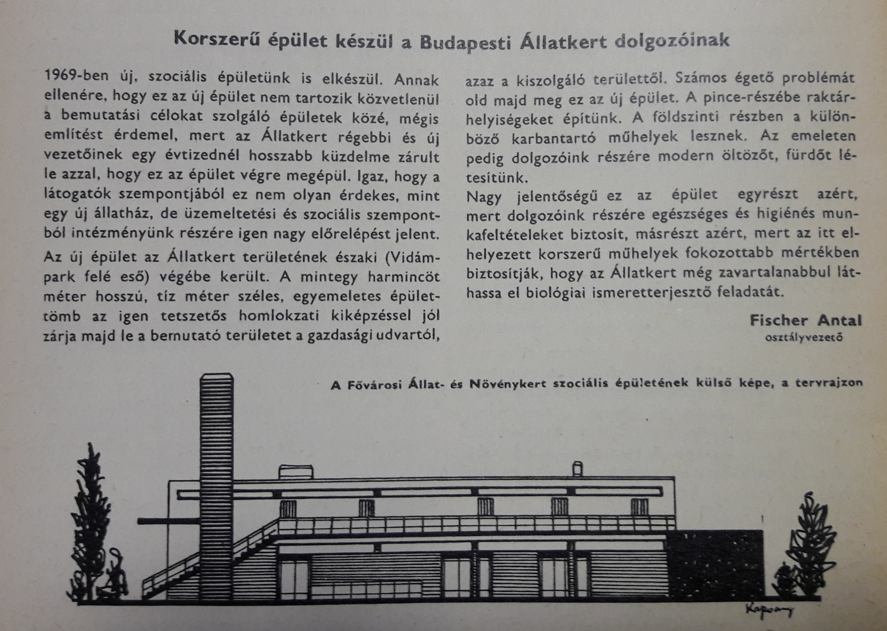 Korabeli cikk az épület 1969-es építéséről